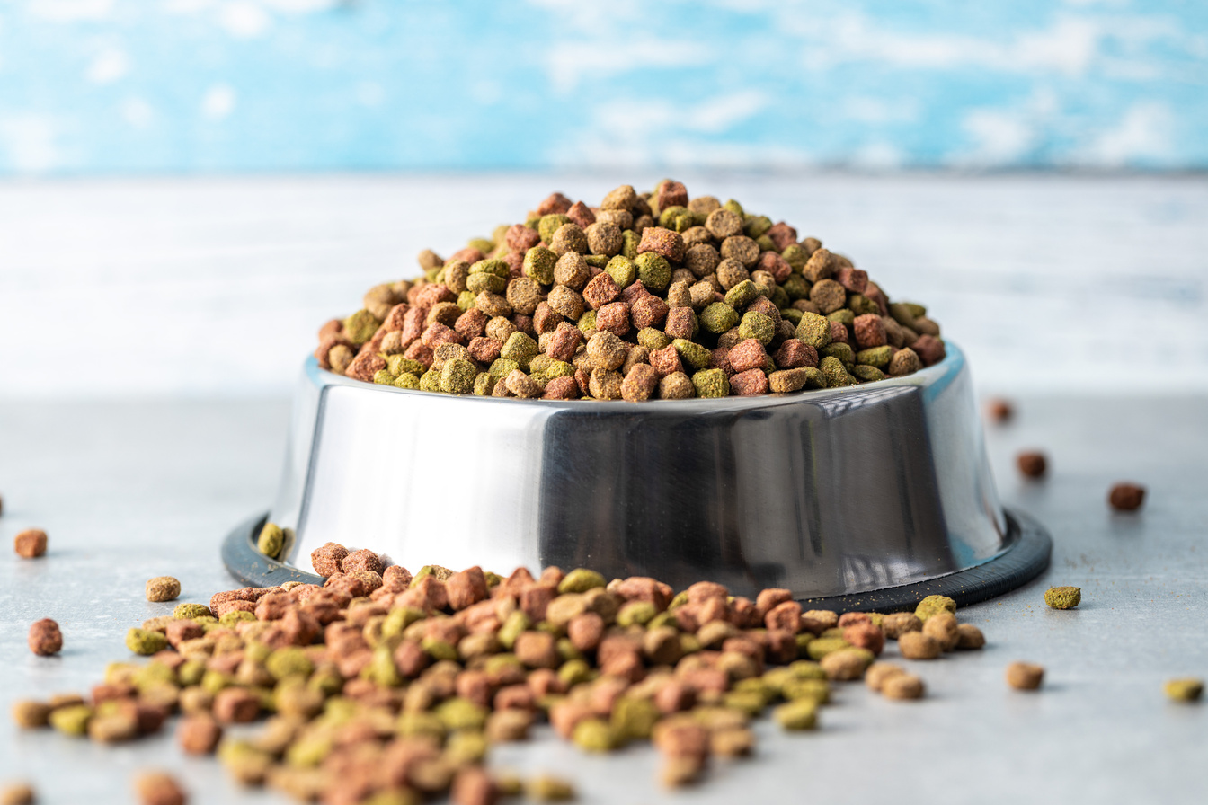 Bowl of Dried Food for Pets